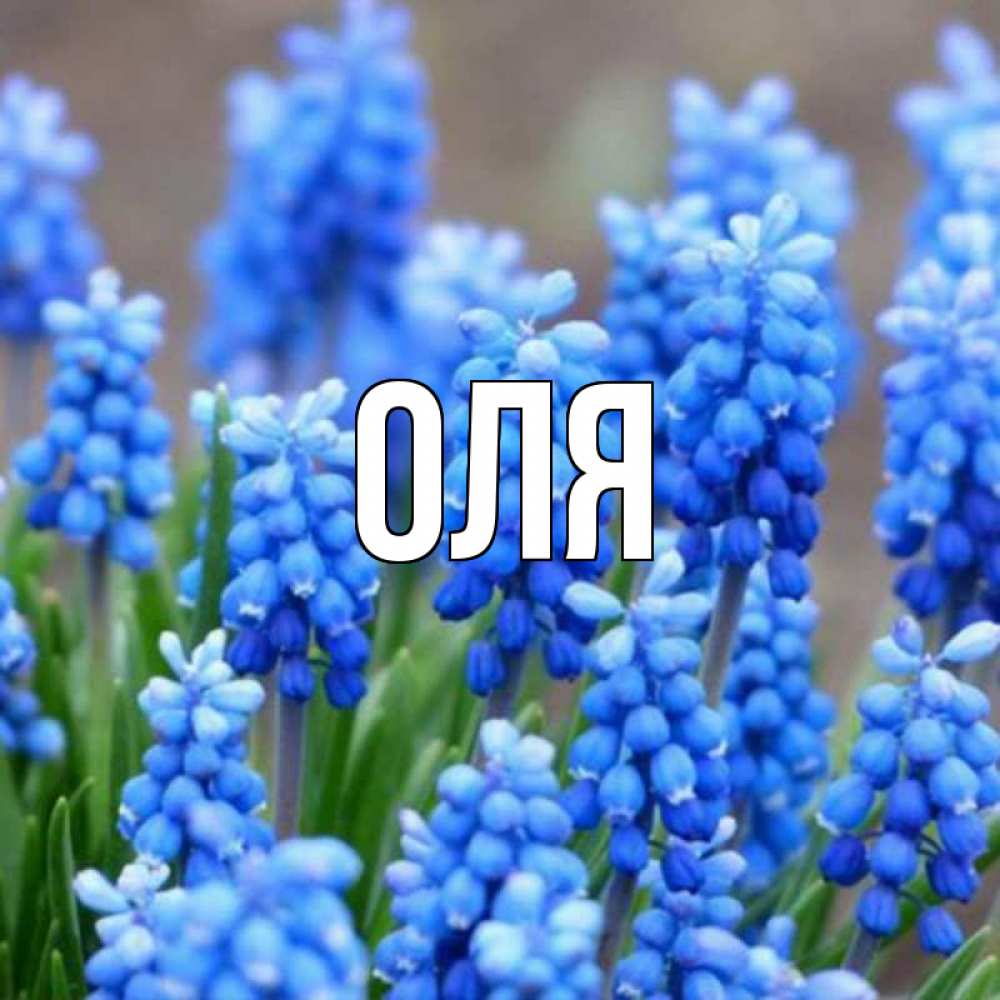 Акварелью, открытка на имя оля