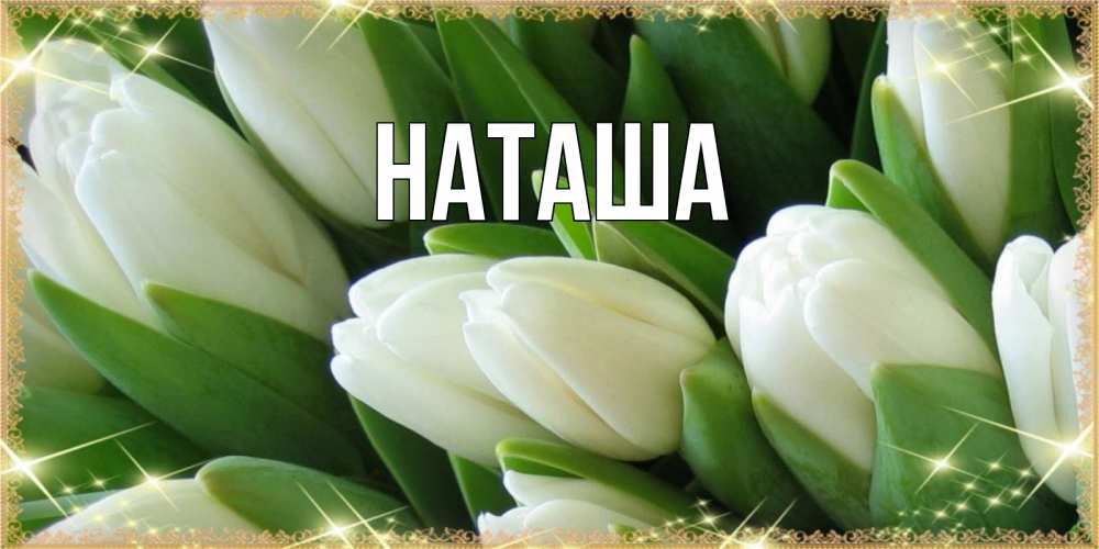 Открытка на каждый день с именем, Наташа Главная поздравляем с 8 марта Прикольная открытка с пожеланием онлайн скачать бесплатно 