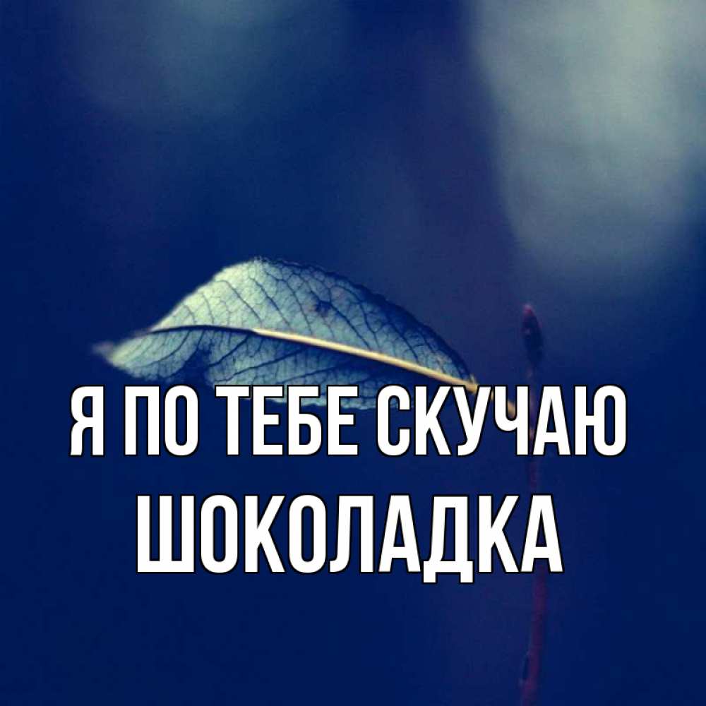 Открытка на каждый день с именем, Шоколадка Я по тебе скучаю одна ветка 1 Прикольная открытка с пожеланием онлайн скачать бесплатно 