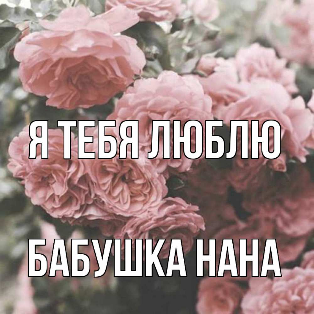 Открытка на каждый день с именем, Бабушка-Нана Я тебя люблю розы 3 Прикольная открытка с пожеланием онлайн скачать бесплатно 