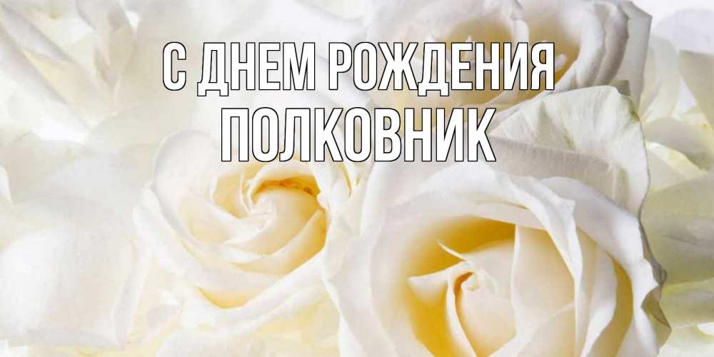 Открытка с именем, Полковник, С днем рождения