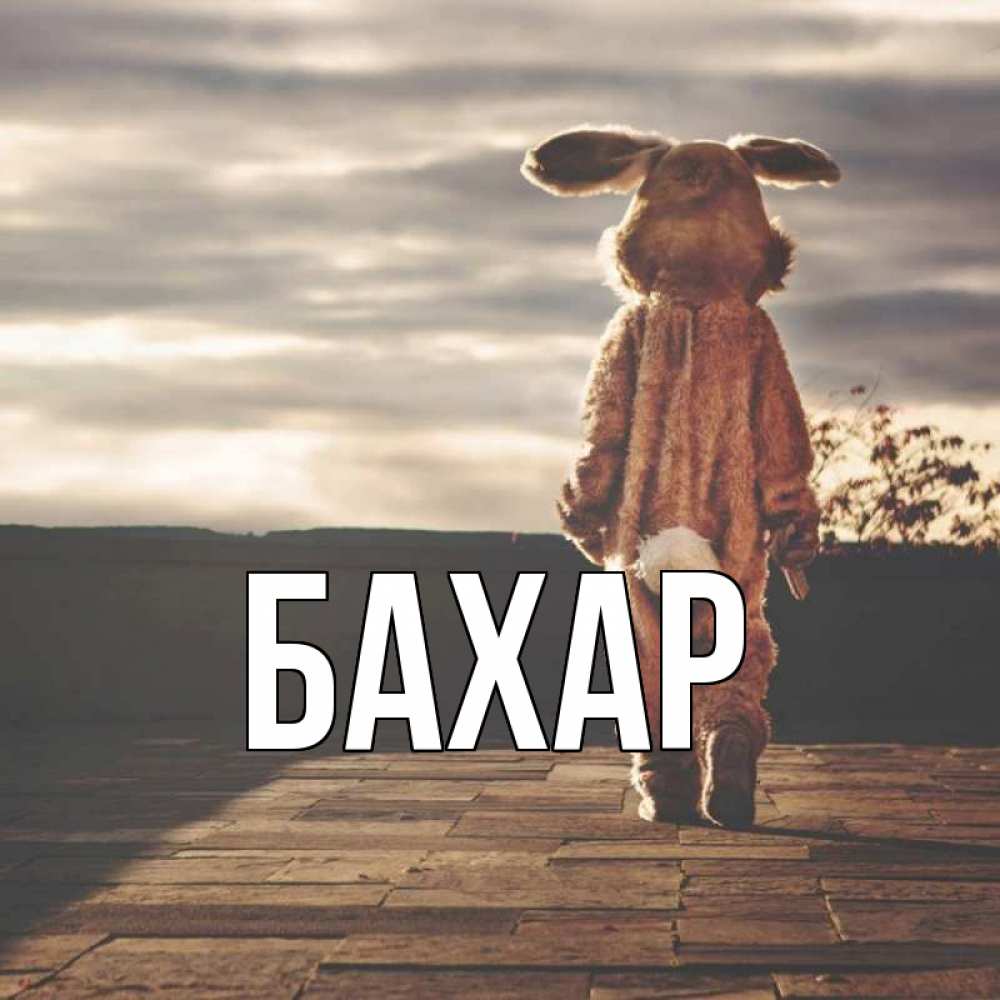 Открытка на каждый день с именем, Бахар Главная со спины Прикольная открытка с пожеланием онлайн скачать бесплатно 