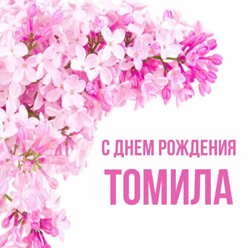 Красивое имя тамила. Томило имя. Картинки с днём рождения женщине с именем томила. Привет дашенька картинки. Тамила картинки с именем.