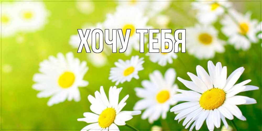 Открытка на каждый день с именем, Хочу-тебя Главная открытка с ромашками на зеленом фоне Прикольная открытка с пожеланием онлайн скачать бесплатно 
