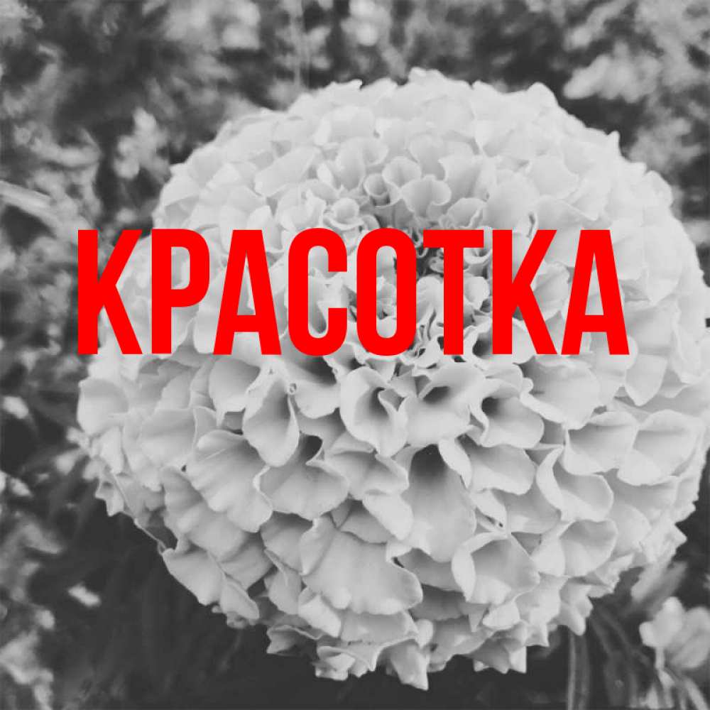 Открытка на каждый день с именем, красотка Главная подпись Прикольная открытка с пожеланием онлайн скачать бесплатно 