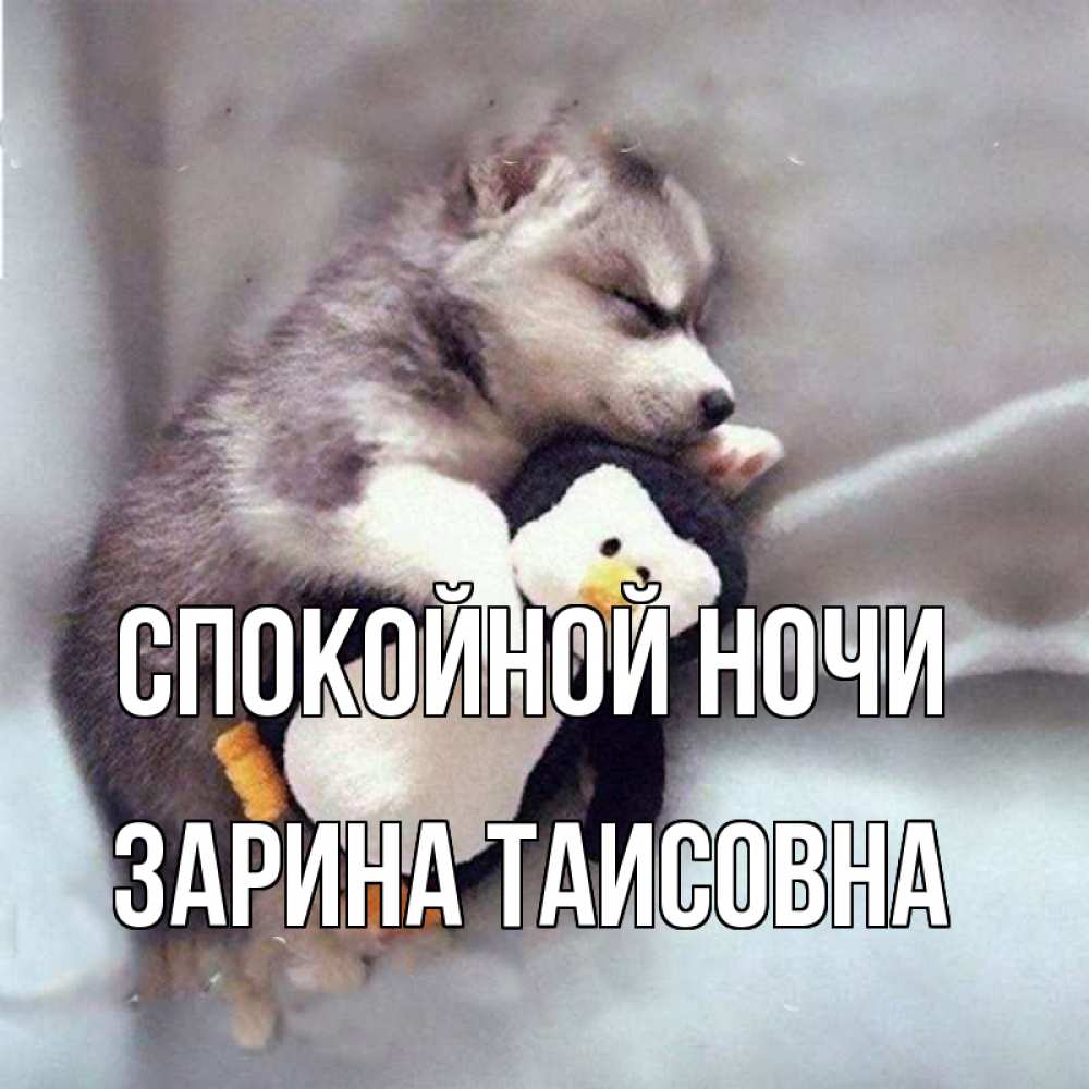 Картинка Спокойной ночи, Зарина Таисовна