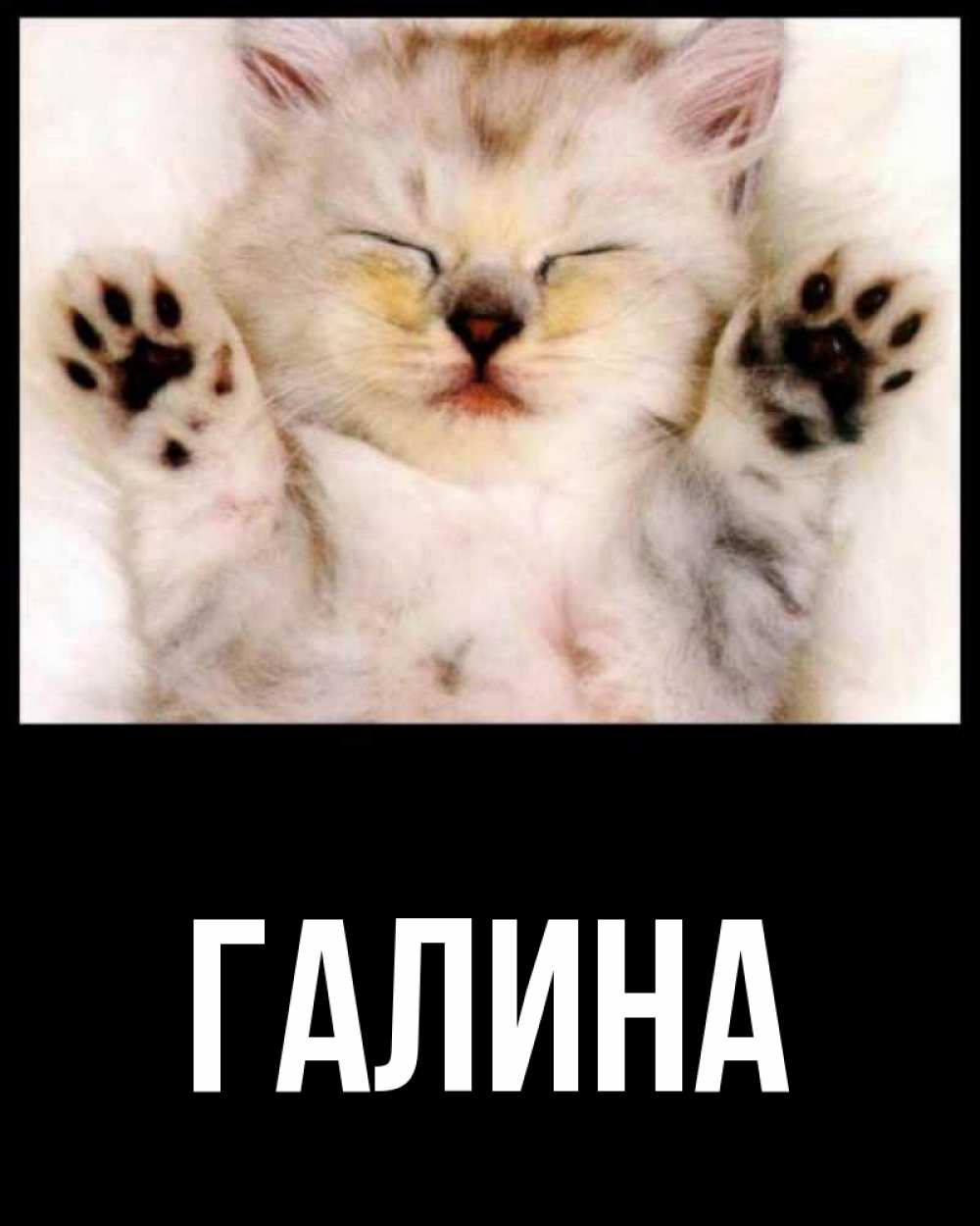 Открытка на каждый день с именем, Галина Главная маленький котенок Прикольная открытка с пожеланием онлайн скачать бесплатно 