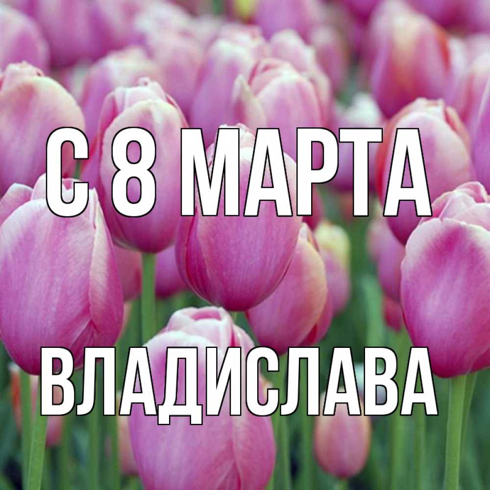 Открытка на каждый день с именем, Владислава С 8 МАРТА на международный женский день 3 Прикольная открытка с пожеланием онлайн скачать бесплатно 