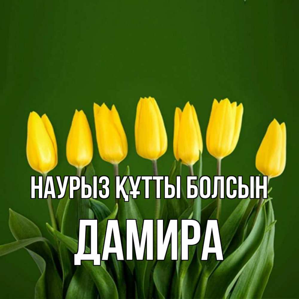 Открытка на каждый день с именем, Дамира Наурыз құтты болсын желтого цвета 3 Прикольная открытка с пожеланием онлайн скачать бесплатно 
