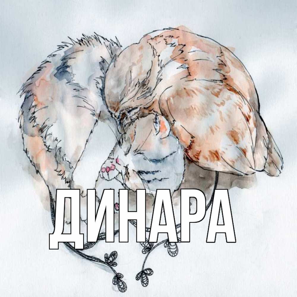 Открытка на каждый день с именем, Динара Главная можно быть вместе даже когда очень разные Прикольная открытка с пожеланием онлайн скачать бесплатно 