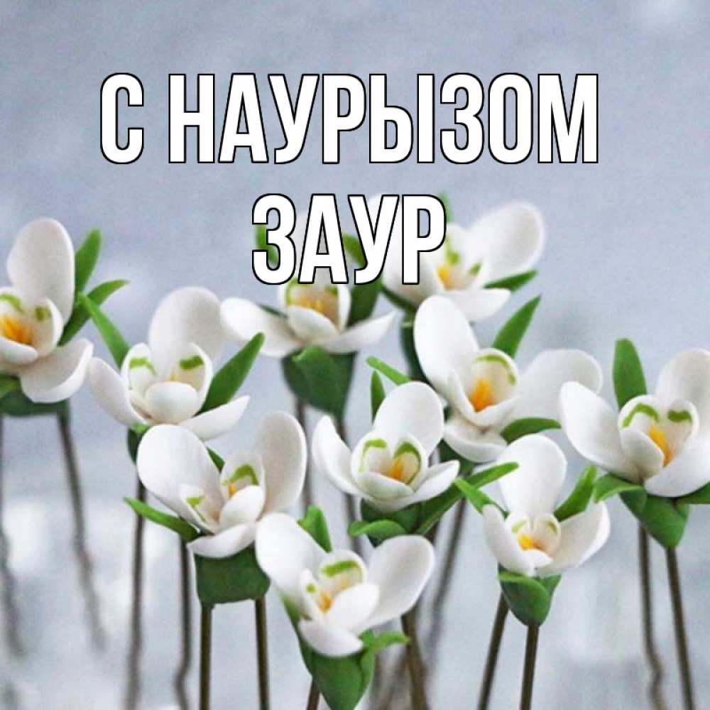 Открытка на каждый день с именем, Заур С наурызом весенние цветы Прикольная открытка с пожеланием онлайн скачать бесплатно 