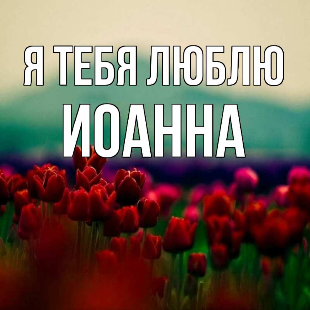 Открытка на каждый день с именем, Иоанна Я тебя люблю тюльпаны 4 Прикольная открытка с пожеланием онлайн скачать бесплатно 