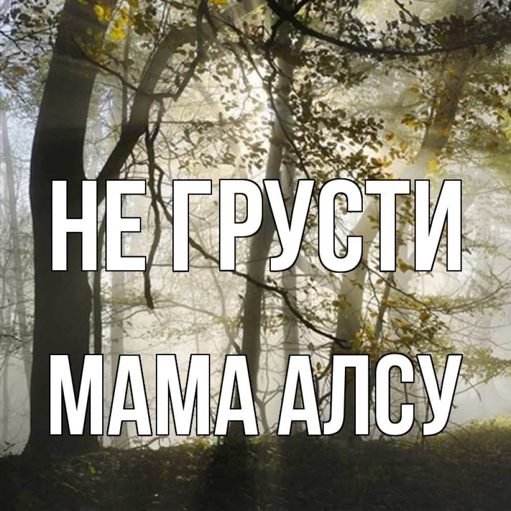 Открытка на каждый день с именем, Мама-Алсу Не грусти лес и свет Прикольная открытка с пожеланием онлайн скачать бесплатно 