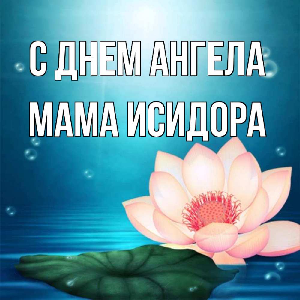 Открытка на каждый день с именем, Мама-Исидора С днем ангела кувшинка Прикольная открытка с пожеланием онлайн скачать бесплатно 