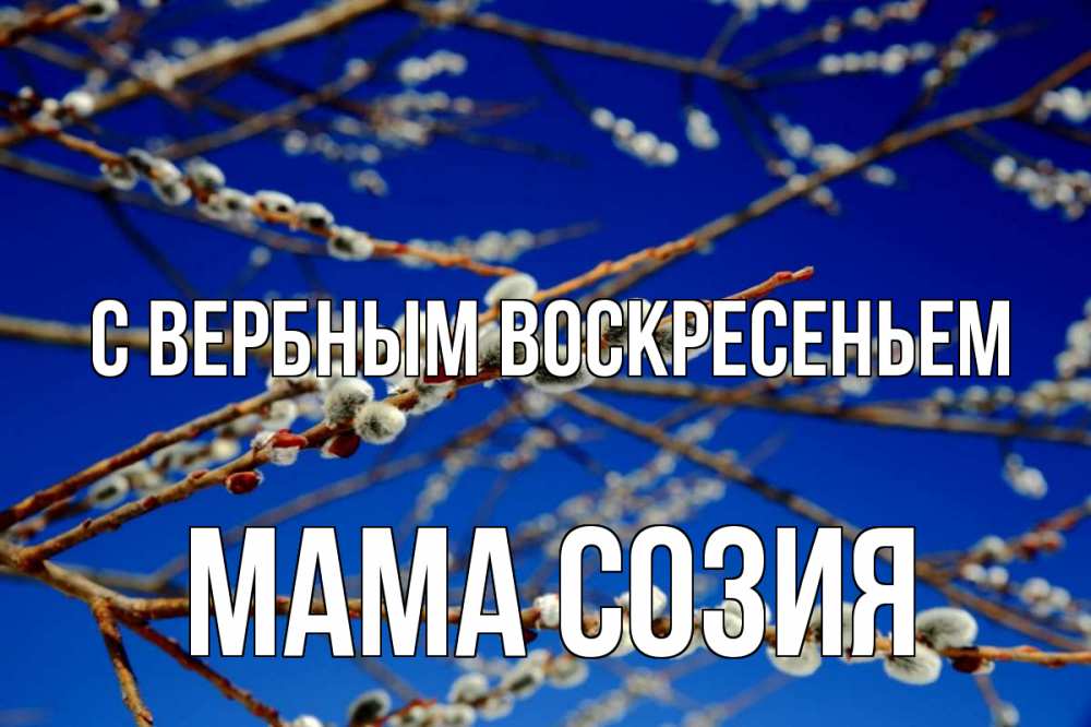 Открытка на каждый день с именем, Мама-Созия С вербным воскресеньем верба Прикольная открытка с пожеланием онлайн скачать бесплатно 