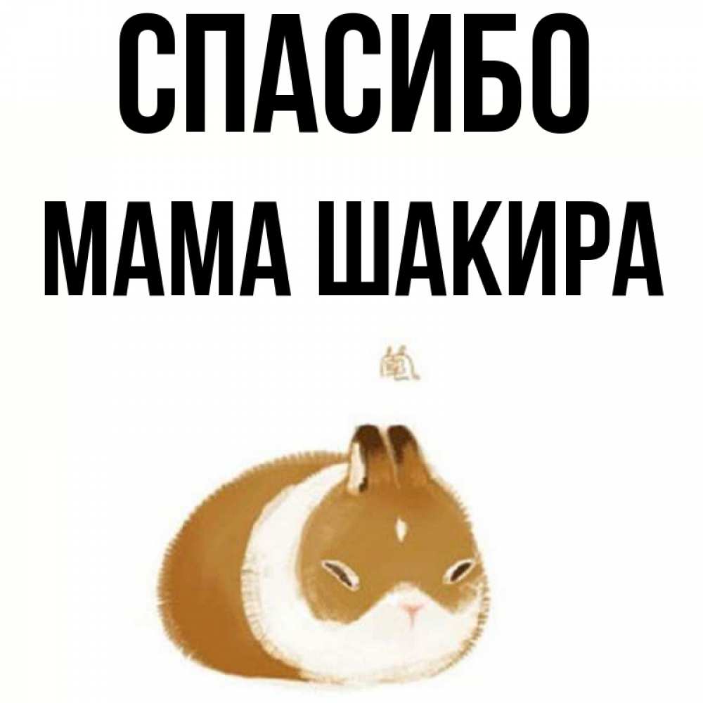 Открытка на каждый день с именем, Мама-Шакира Спасибо коричнево белый домашний питомец Прикольная открытка с пожеланием онлайн скачать бесплатно 