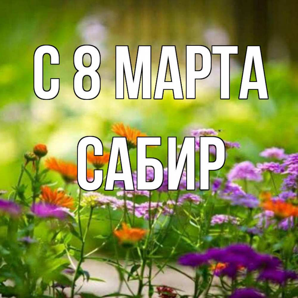 Открытка на каждый день с именем, Сабир С 8 марта цветы Прикольная открытка с пожеланием онлайн скачать бесплатно 