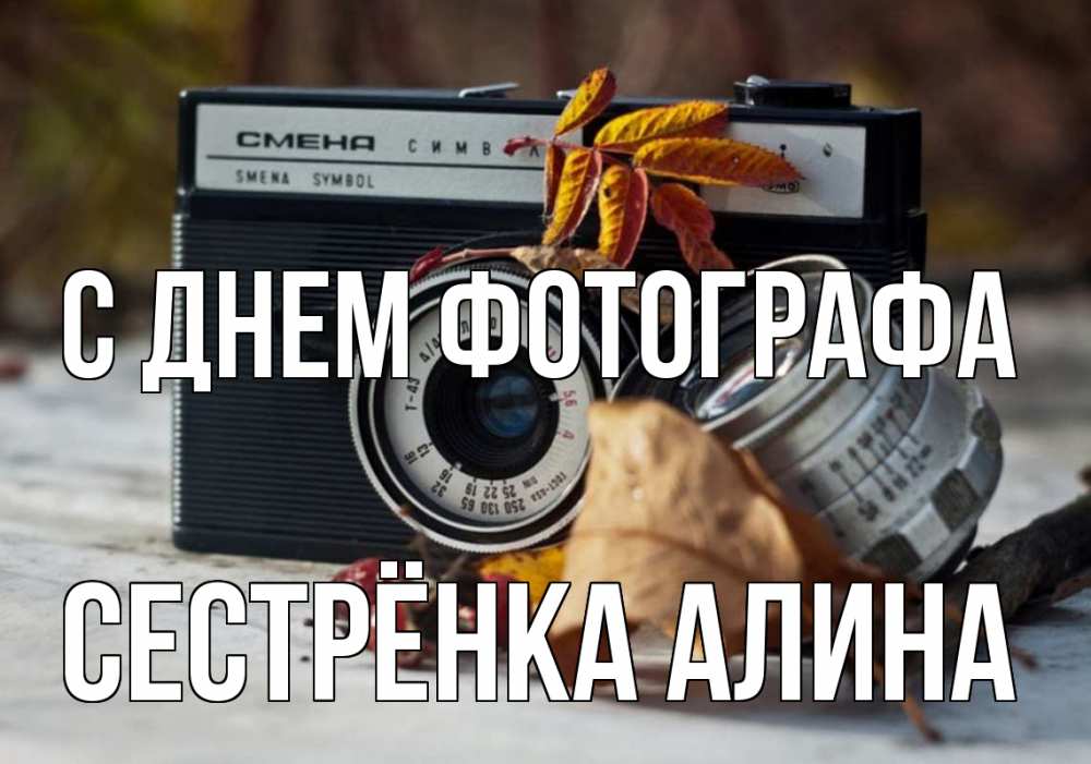 Открытка на каждый день с именем, Сестрёнка-Алина С днем фотографа с днем фотографа Прикольная открытка с пожеланием онлайн скачать бесплатно 