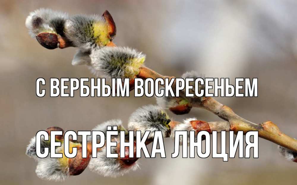Открытка на каждый день с именем, Сестрёнка-Люция С вербным воскресеньем Верба Прикольная открытка с пожеланием онлайн скачать бесплатно 