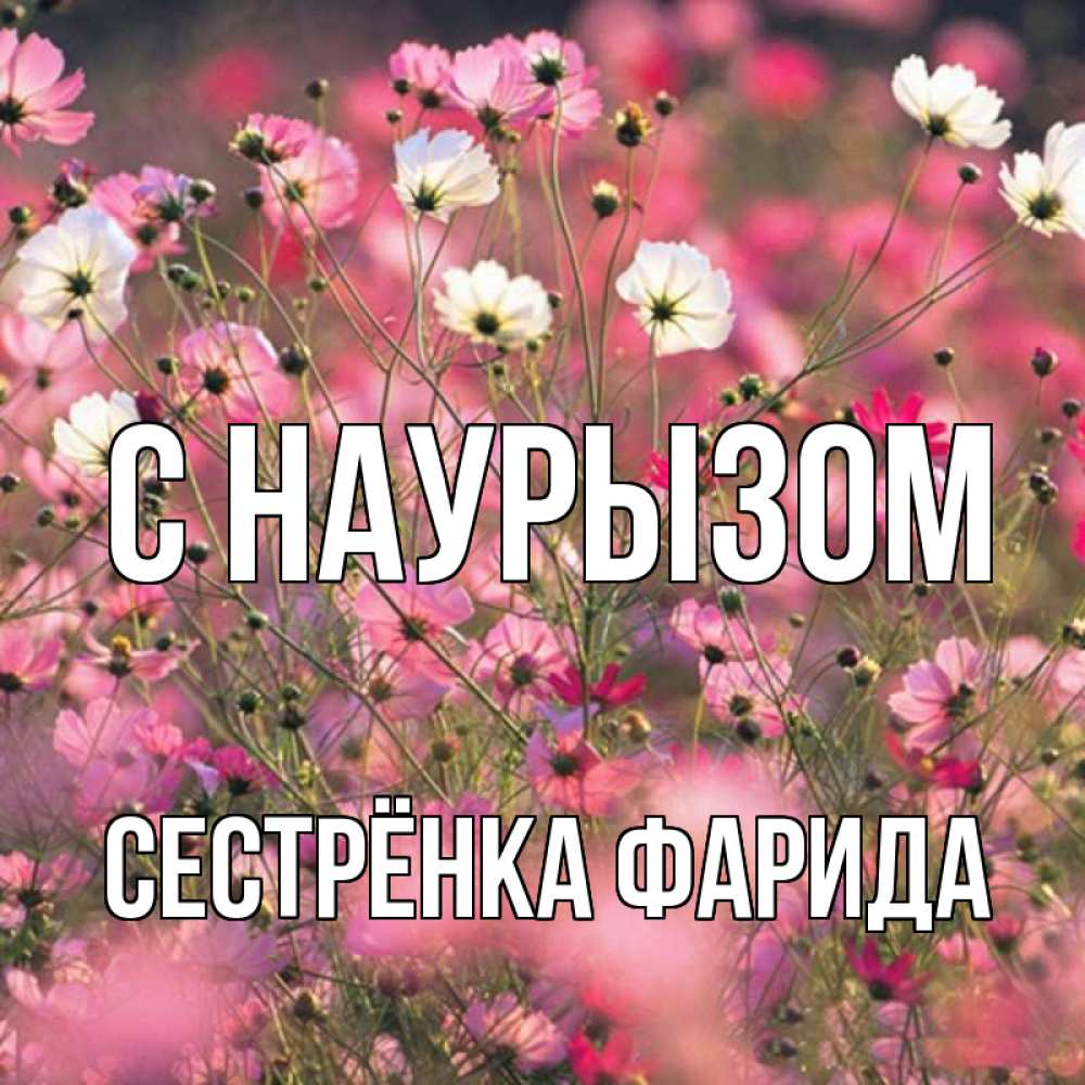 Открытка на каждый день с именем, Сестрёнка-Фарида С наурызом красиво 1 Прикольная открытка с пожеланием онлайн скачать бесплатно 