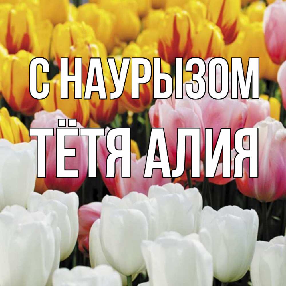 Открытка на каждый день с именем, Тётя-Алия С наурызом разноцветные цветы Прикольная открытка с пожеланием онлайн скачать бесплатно 