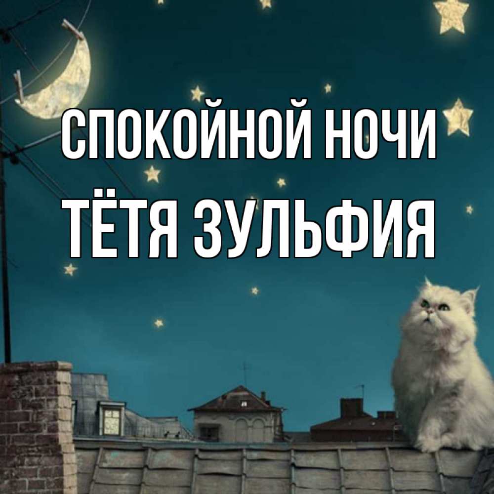 Открытка на каждый день с именем, Тётя-Зульфия Спокойной ночи белый кот сидит на крыше Прикольная открытка с пожеланием онлайн скачать бесплатно 