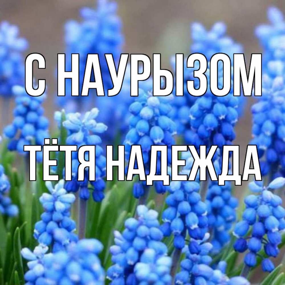 Открытка на каждый день с именем, Тётя-Надежда С наурызом Поздравительная открытка для женщин с цветами на праздничную дату Прикольная открытка с пожеланием онлайн скачать бесплатно 