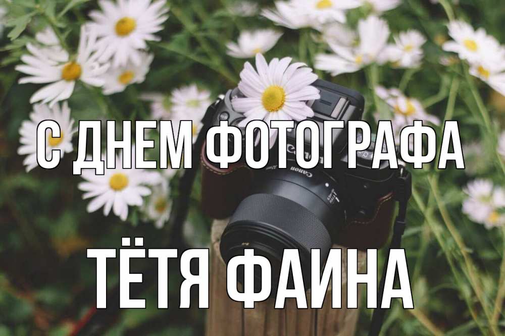 Открытка на каждый день с именем, Тётя-Фаина С днем фотографа с днем фотографа Прикольная открытка с пожеланием онлайн скачать бесплатно 