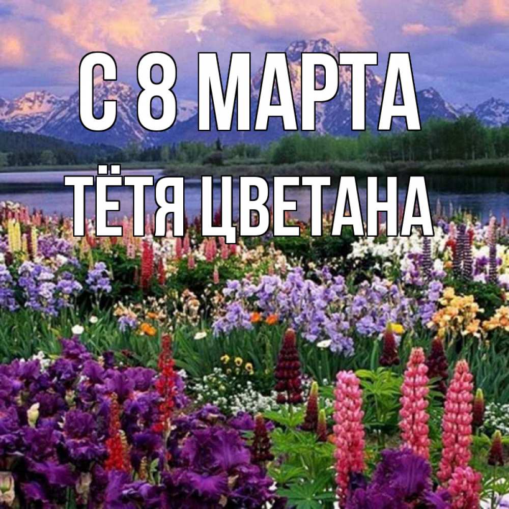 Открытка на каждый день с именем, Тётя-Цветана С 8 МАРТА международный женский день Прикольная открытка с пожеланием онлайн скачать бесплатно 