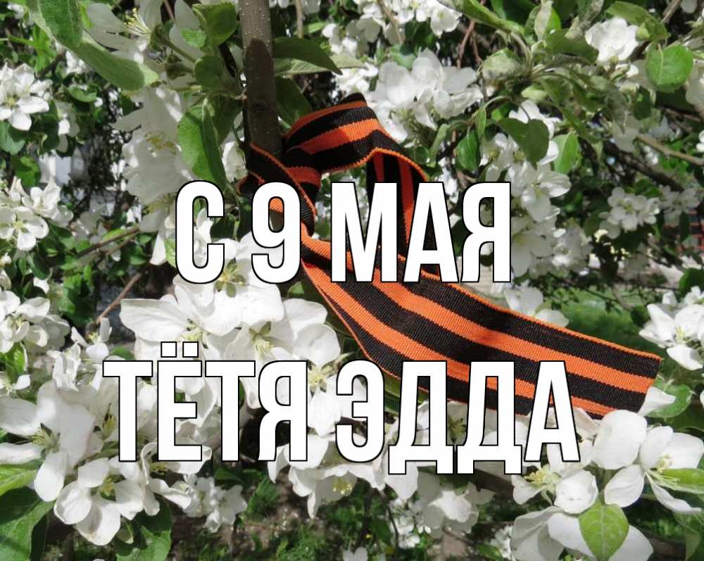 Открытка на каждый день с именем, Тётя-Эдда С 9 мая 9 мая Прикольная открытка с пожеланием онлайн скачать бесплатно 