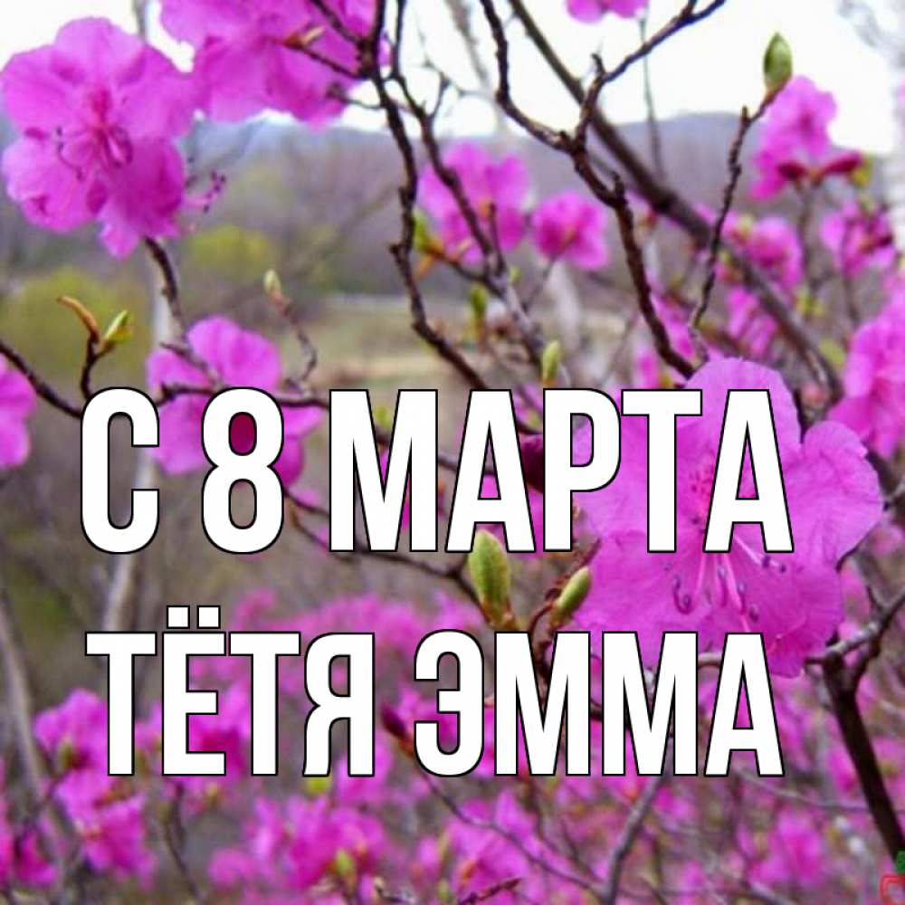 Открытка на каждый день с именем, Тётя-Эмма С 8 МАРТА международный женский день Прикольная открытка с пожеланием онлайн скачать бесплатно 
