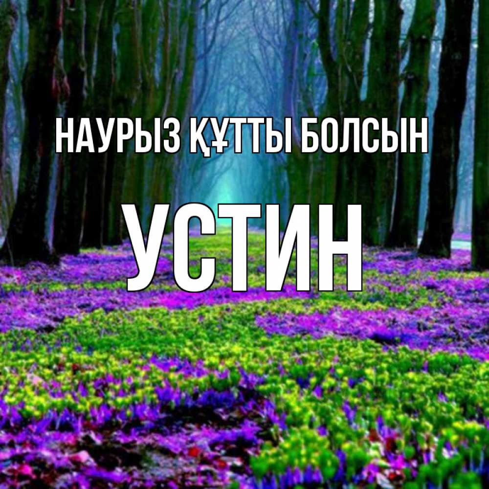 Открытка на каждый день с именем, Устин Наурыз құтты болсын фиолетовые цветы в лесу 1 Прикольная открытка с пожеланием онлайн скачать бесплатно 