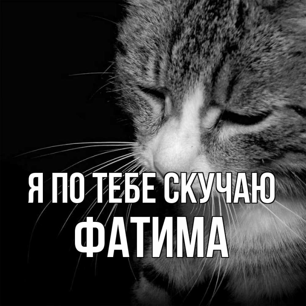 Открытка на каждый день с именем, Фатима Я по тебе скучаю мне скучно Прикольная открытка с пожеланием онлайн скачать бесплатно 