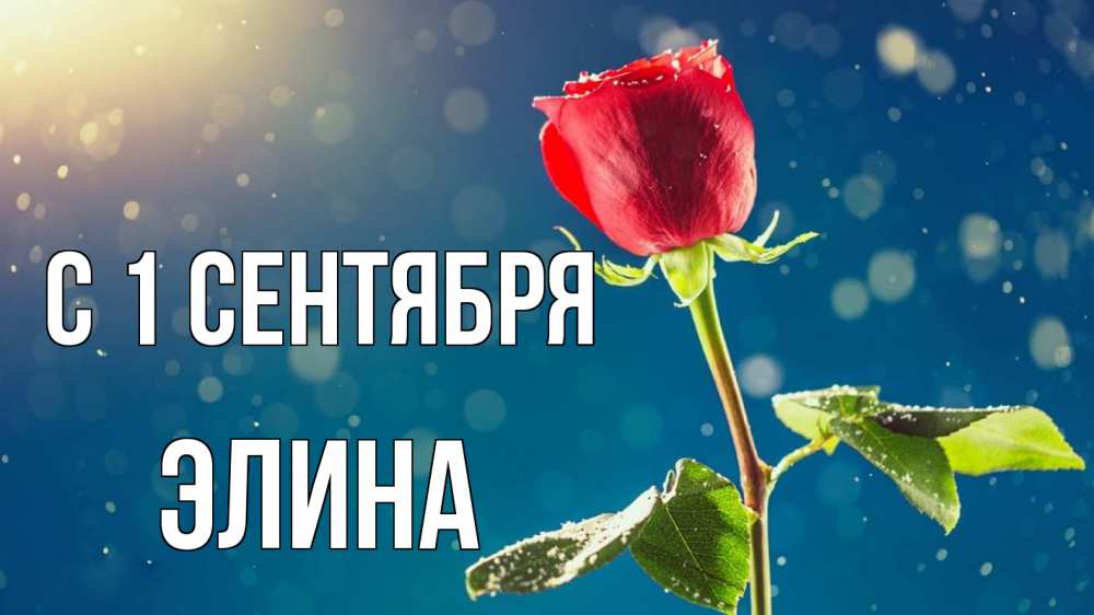 Открытка на каждый день с именем, Элина С 1 сентября с днем знаний Прикольная открытка с пожеланием онлайн скачать бесплатно 