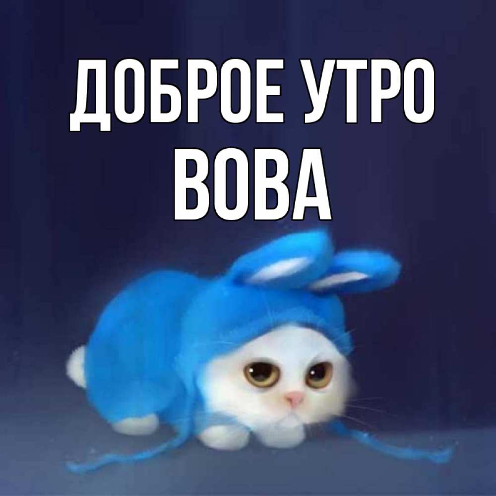 Доброе утро володя картинки красивые