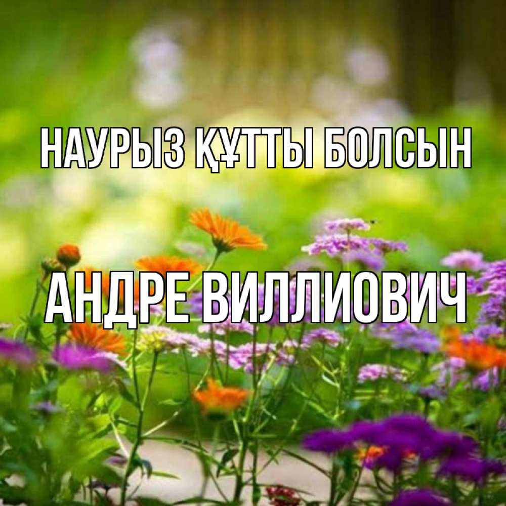 Открытка на каждый день с именем, Андре-Виллиович Наурыз құтты болсын цветы Прикольная открытка с пожеланием онлайн скачать бесплатно 