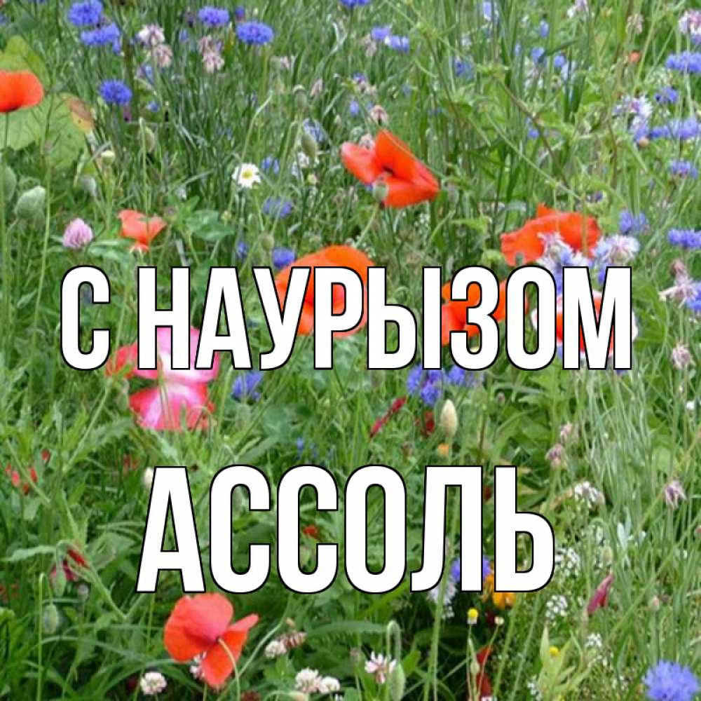 Открытка на каждый день с именем, Ассоль С наурызом праздник весны наурыз супер открытка Прикольная открытка с пожеланием онлайн скачать бесплатно 
