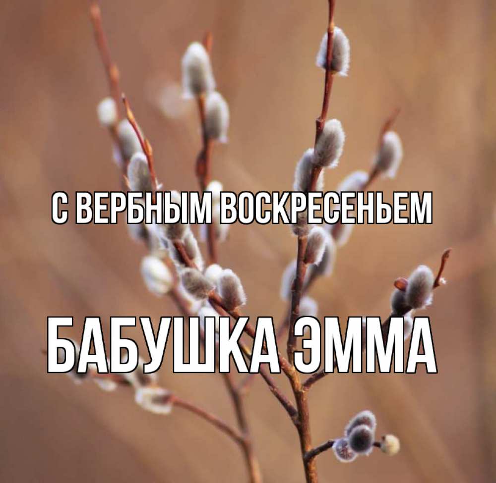 Открытка на каждый день с именем, Бабушка-Эмма С вербным воскресеньем верба Прикольная открытка с пожеланием онлайн скачать бесплатно 