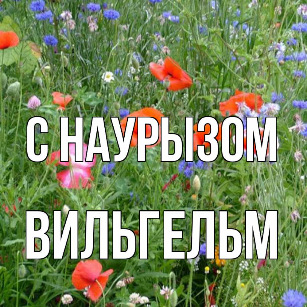 Открытка на каждый день с именем, Вильгельм С наурызом праздник весны наурыз супер открытка Прикольная открытка с пожеланием онлайн скачать бесплатно 