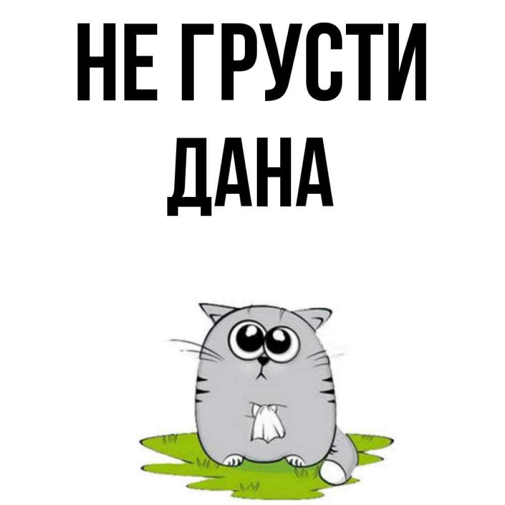 Открытка на каждый день с именем, Дана Не грусти грустный котяра Прикольная открытка с пожеланием онлайн скачать бесплатно 