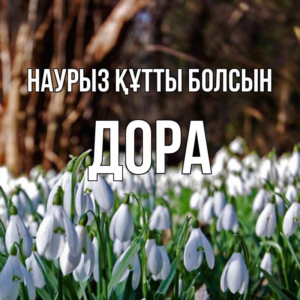 Открытка на каждый день с именем, Дора Наурыз құтты болсын с подснежниками 1 Прикольная открытка с пожеланием онлайн скачать бесплатно 