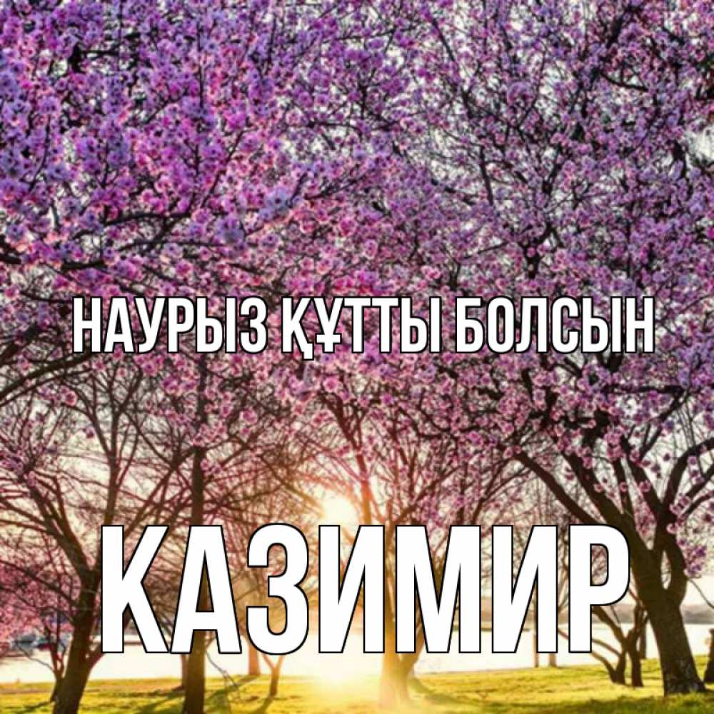 Открытка на каждый день с именем, Казимир Наурыз құтты болсын наурыз Прикольная открытка с пожеланием онлайн скачать бесплатно 