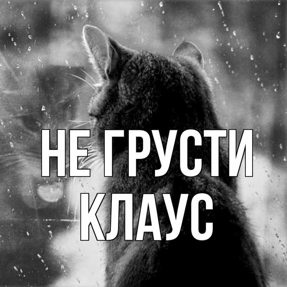 Открытка на каждый день с именем, Клаус Не грусти отражение кота 1 Прикольная открытка с пожеланием онлайн скачать бесплатно 