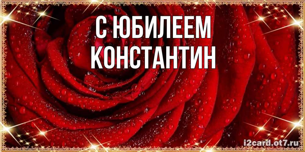 Открытка на каждый день с именем, Константин С юбилеем роса на розе блестящая в лучах солнца Прикольная открытка с пожеланием онлайн скачать бесплатно 