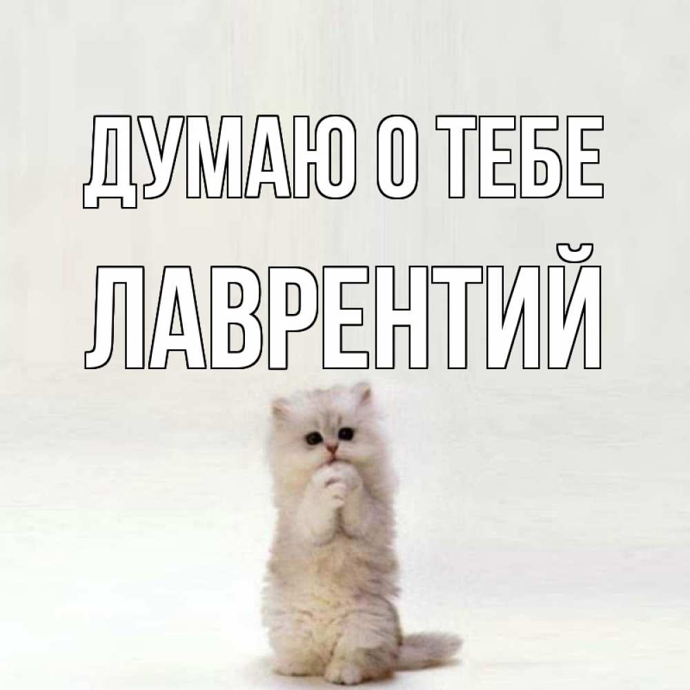Открытка на каждый день с именем, Лаврентий Думаю о тебе кот стоит на задних лапах Прикольная открытка с пожеланием онлайн скачать бесплатно 