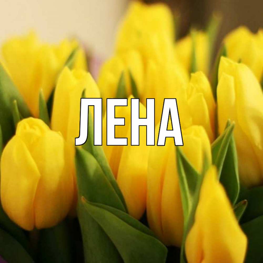 Открытка на каждый день с именем, Лена Главная цветы Прикольная открытка с пожеланием онлайн скачать бесплатно 