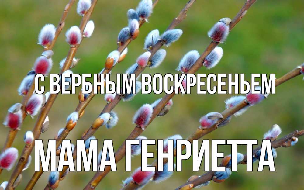 Открытка на каждый день с именем, Мама-Генриетта С вербным воскресеньем верба Прикольная открытка с пожеланием онлайн скачать бесплатно 