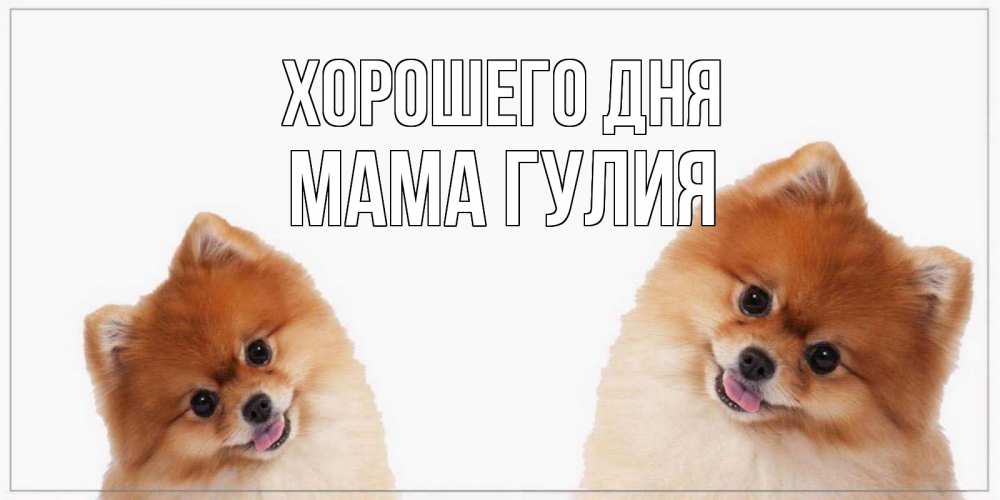 Открытка на каждый день с именем, Мама-Гулия Хорошего дня собачки желают прекрасного дня Прикольная открытка с пожеланием онлайн скачать бесплатно 