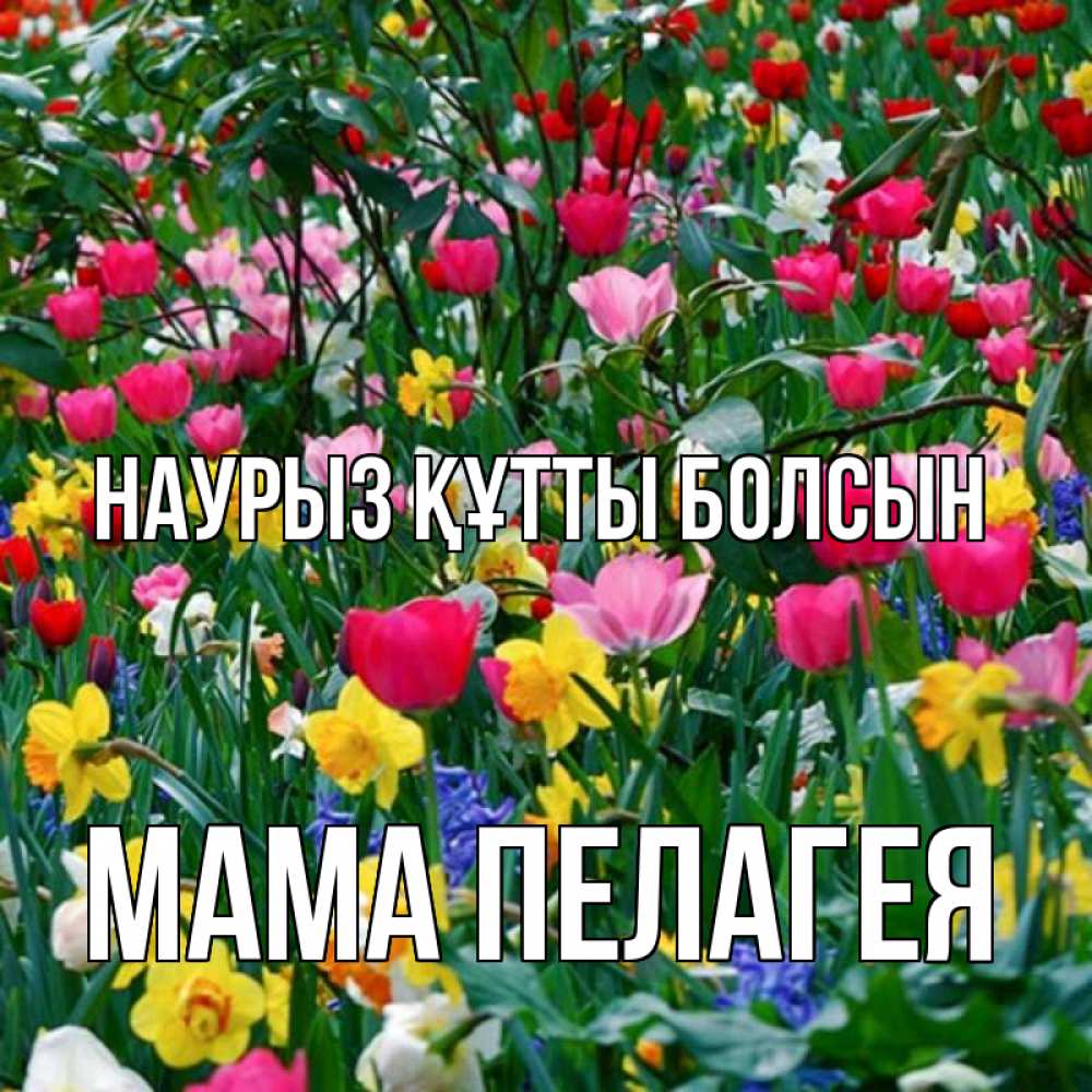 Открытка на каждый день с именем, Мама-Пелагея Наурыз құтты болсын с наурызом поздравления для женщины Прикольная открытка с пожеланием онлайн скачать бесплатно 