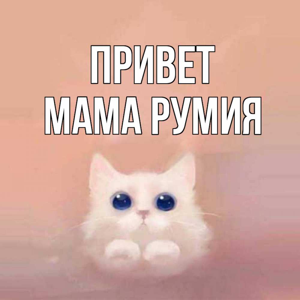 Открытка на каждый день с именем, Мама-Румия Привет котик белый в полете Прикольная открытка с пожеланием онлайн скачать бесплатно 